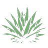 tequila add-on